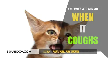 Exploring the Unique Sounds of Feline Coughs: A Comprehensive Guide