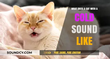 Decoding the Sniffles: What Does a Cat with a Cold Sound Like?
