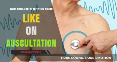 Exploring the Sounds of Chest Infections: A Guide to Auscultation