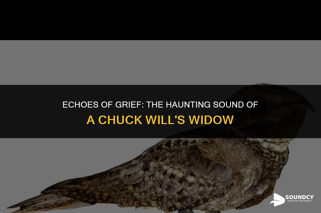 what does a chuck will