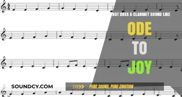 Clarinet's Melodic Journey: An Ode to Joy in Eight Words