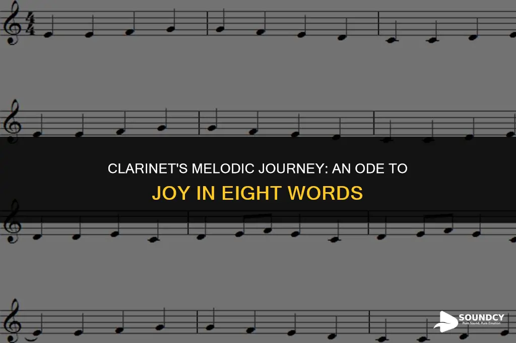 what does a clarinet sound like ode to joy