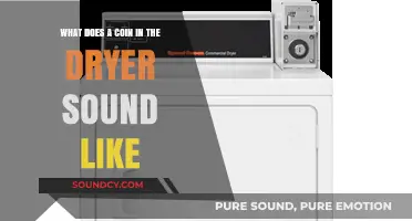 The Unexpected Symphony: Decoding the Coin's Dryer Dance