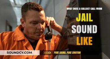 Decoding the Distinct Sound of Collect Calls from Jail