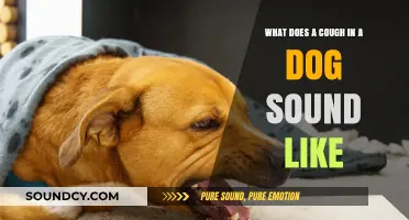 Understanding Canine Coughs: What's Normal and When to Worry