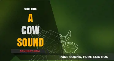 Understanding the Unique Sounds Cows Make and What They Mean