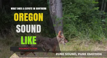 Echoes of the Wild: Unveiling Coyote Calls in Southern Oregon
