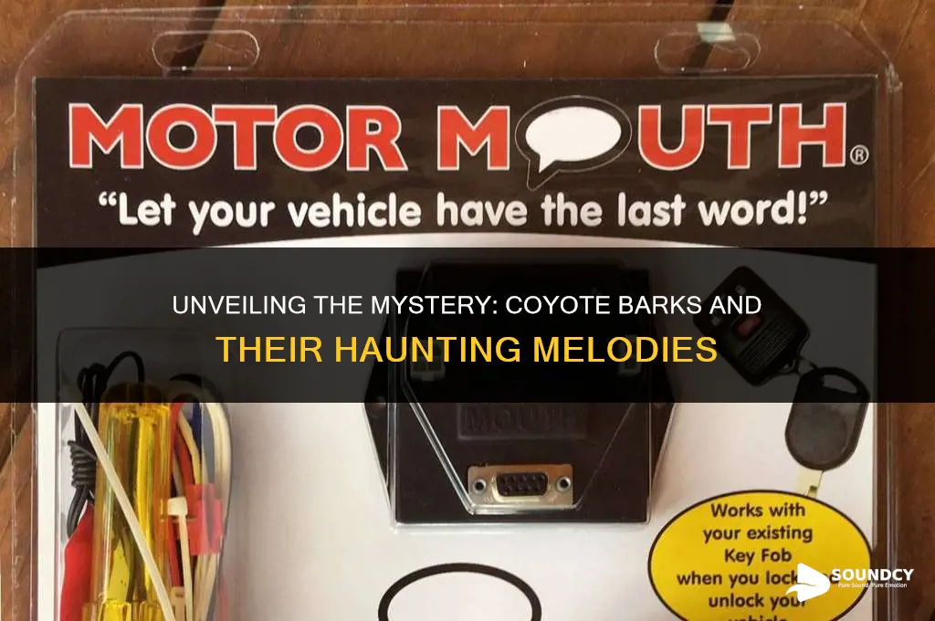 what does a coyote sound like when it barks