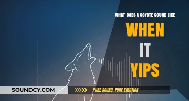 Exploring the Wild: Decoding the Coyote's Yip