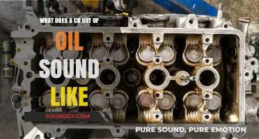 Decoding the Sounds: What Does a CR Out of Oil Sound Like?