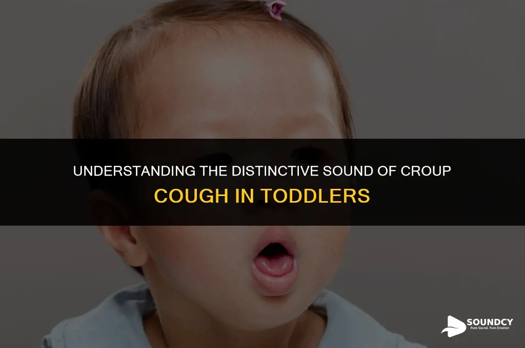 what does a croup cough sound like in toddlers