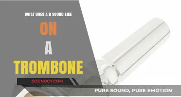Exploring the Deep, Rich D on a Trombone: A Sonic Journey