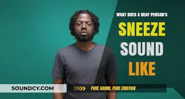 Exploring the Unique Acoustic of a Deaf Person's Sneeze