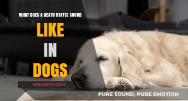 Understanding the Final Moments: What Does a Death Rattle Sound Like in Dogs?