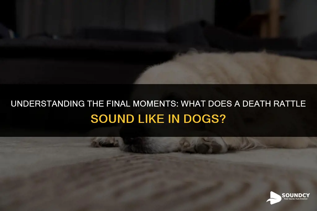 what does a death rattle sound like in dogs