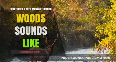 Echoes of Grace: The Silent Language of a Deer in Motion