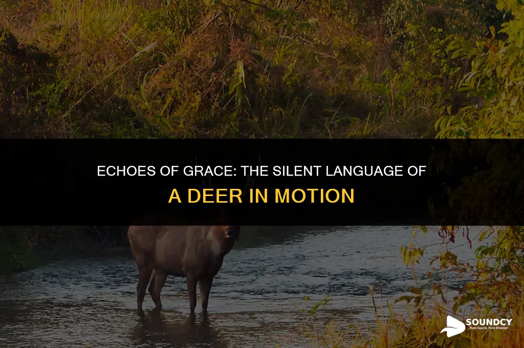 what does a deer moving through woods sounds like