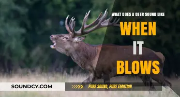Exploring the Unique Vocalizations of Deer: A Comprehensive Guide
