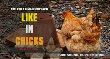 Decoding the Distress Calls: What Does a Despair Chirp Sound Like in Chicks?