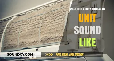 Decoding the Noises: What a Dirty Central Air Unit Sounds Like