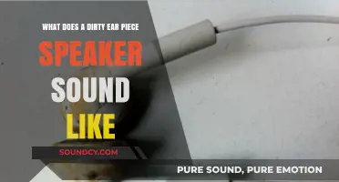 Echoes of Grime: The Unpleasant Reality of a Dirty Earbud Speaker
