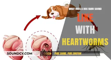 Echoes of Canine Cough: Recognizing Heartworm Symptoms in Dogs