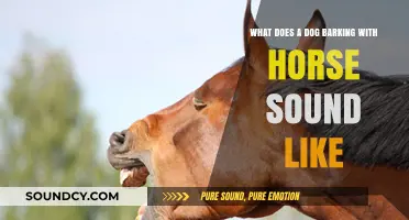 Exploring the Unique Soundscape: Dog Barks and Horse Whinnies