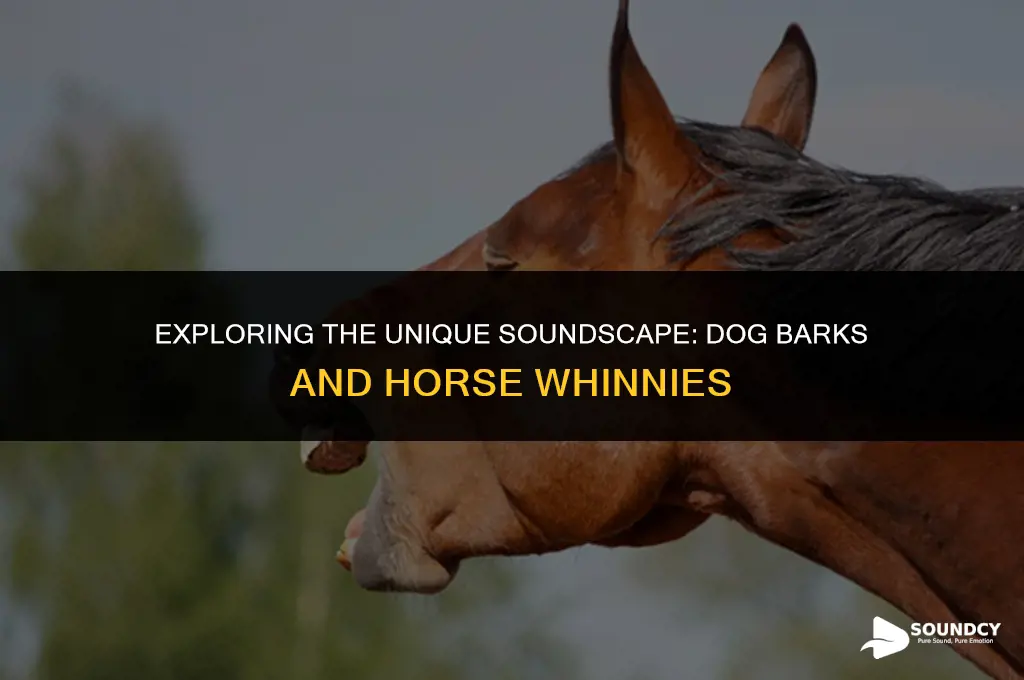 what does a dog barking with horse sound like