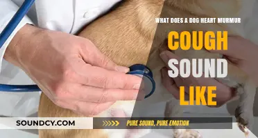 Understanding Canine Cardiac Coughs: What to Listen For