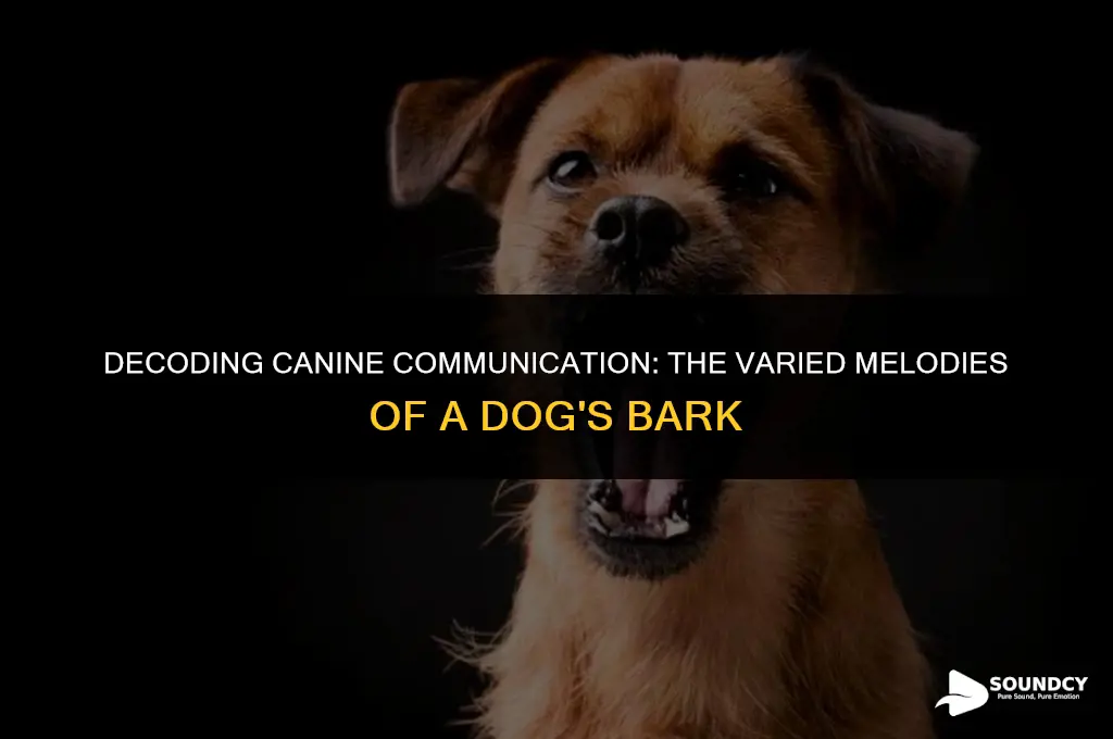 what does a dog sound like when it barks
