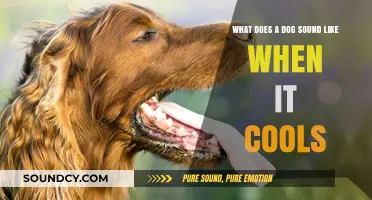 Exploring Canine Cooling Sounds: A Comprehensive Guide