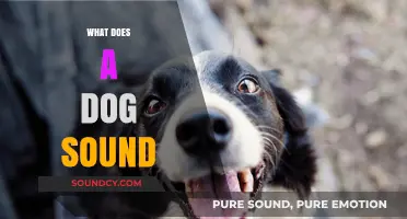 Understanding Dog Sounds: Decoding Barks, Whines, and Growls