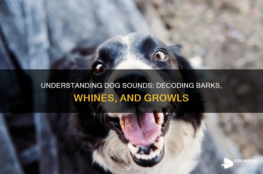 what does a dog sound