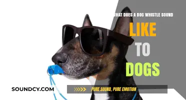 Decoding Canine Communication: The Secret Sounds of Dog Whistles