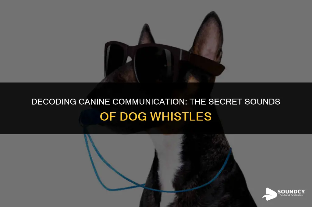 what does a dog whistle sound like to dogs
