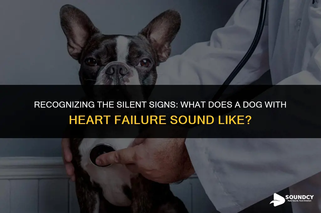 what does a dog with heart failure sound like