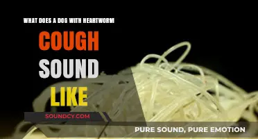 Understanding the Sound of a Heartworm Cough in Dogs