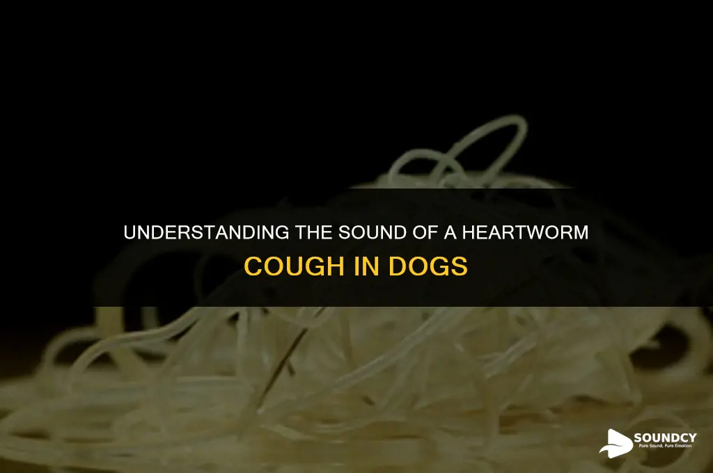 what does a dog with heartworm cough sound like