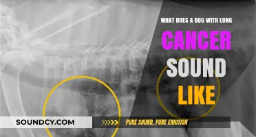 Understanding Canine Lung Cancer: Recognizing the Silent Signs