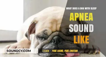 Snoring Pooch: What Does a Dog with Sleep Apnea Sound Like?
