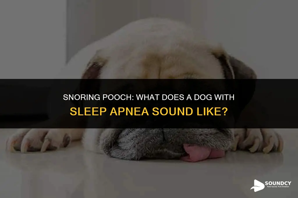 what does a dog with sleep apnea sound like