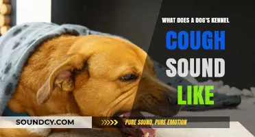 Understanding Canine Coughs: What Does a Dog's Kennel Cough Sound Like?