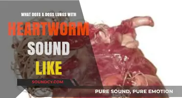 Echoes of Canine Hearts: Recognizing Heartworm Symptoms in Dogs