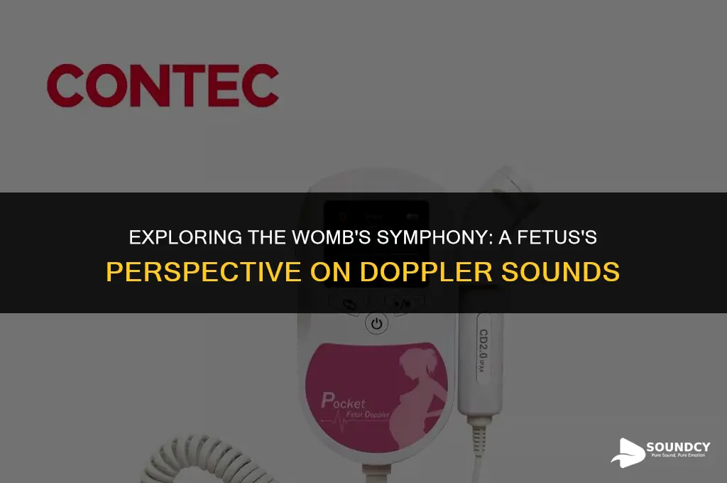 what does a doppler sound like to a fetus