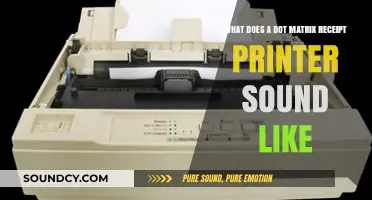 Exploring the Acoustic Signature of Dot Matrix Receipt Printers
