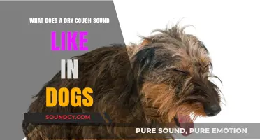 Decoding Canine Coughs: What a Dry Cough Sounds Like in Dogs