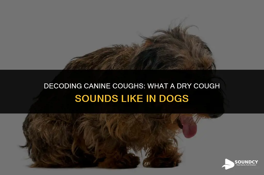 what does a dry cough sound like in dogs