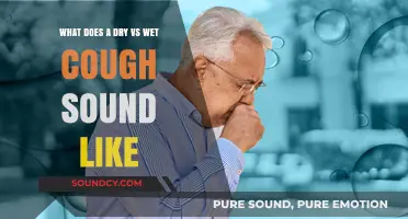 Decoding Cough Sounds: Understanding Dry vs. Wet Coughs