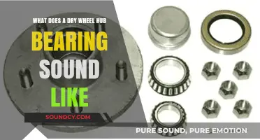 Decoding the Squeak: What a Dry Wheel Hub Bearing Sounds Like