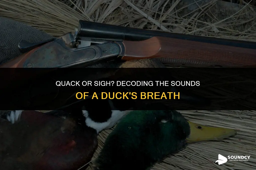 what does a duck supposed to sound like breathing